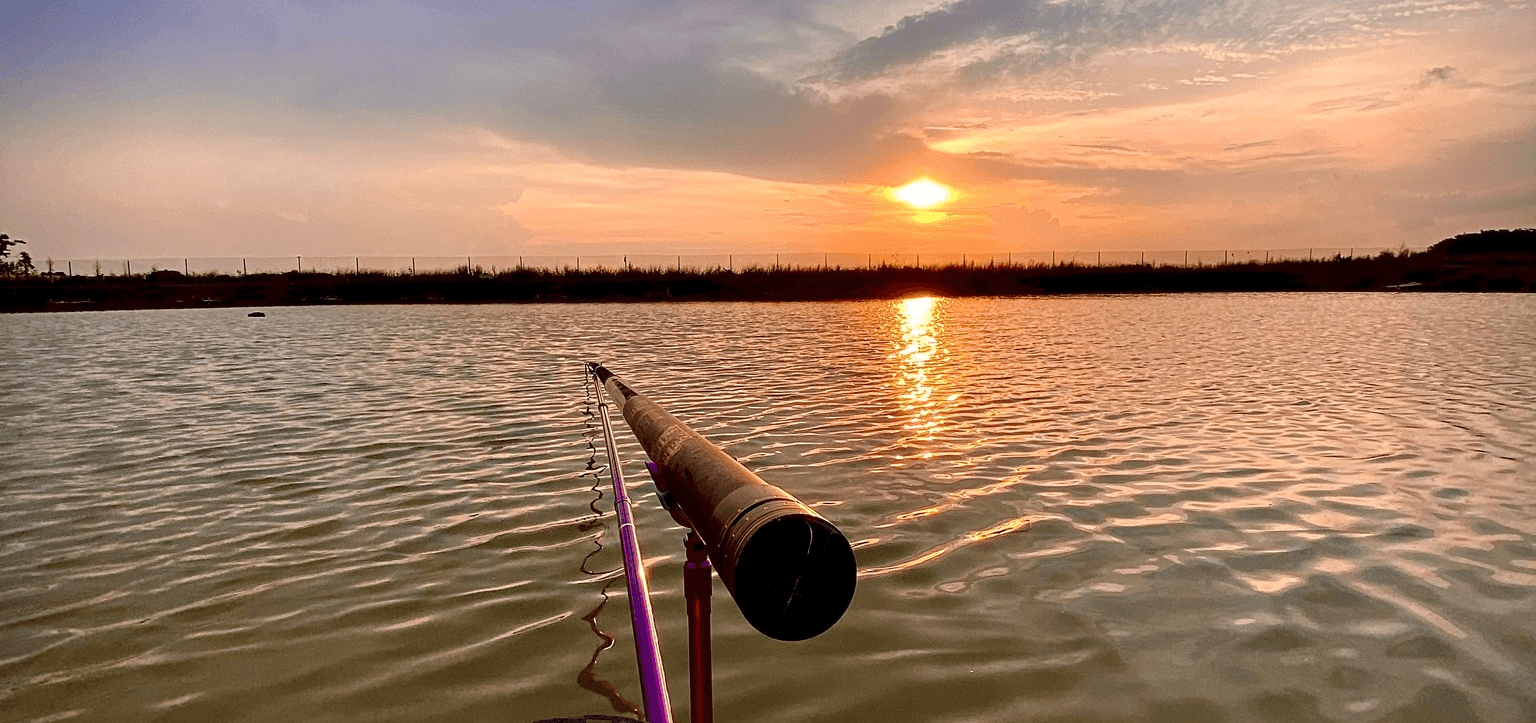 Câu cá lúc hoàng hôn